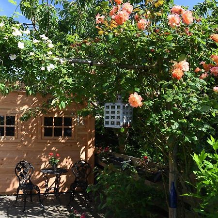 Wadden Eiland Bed En Breakfast Op Texel Oudeschild Exterior photo